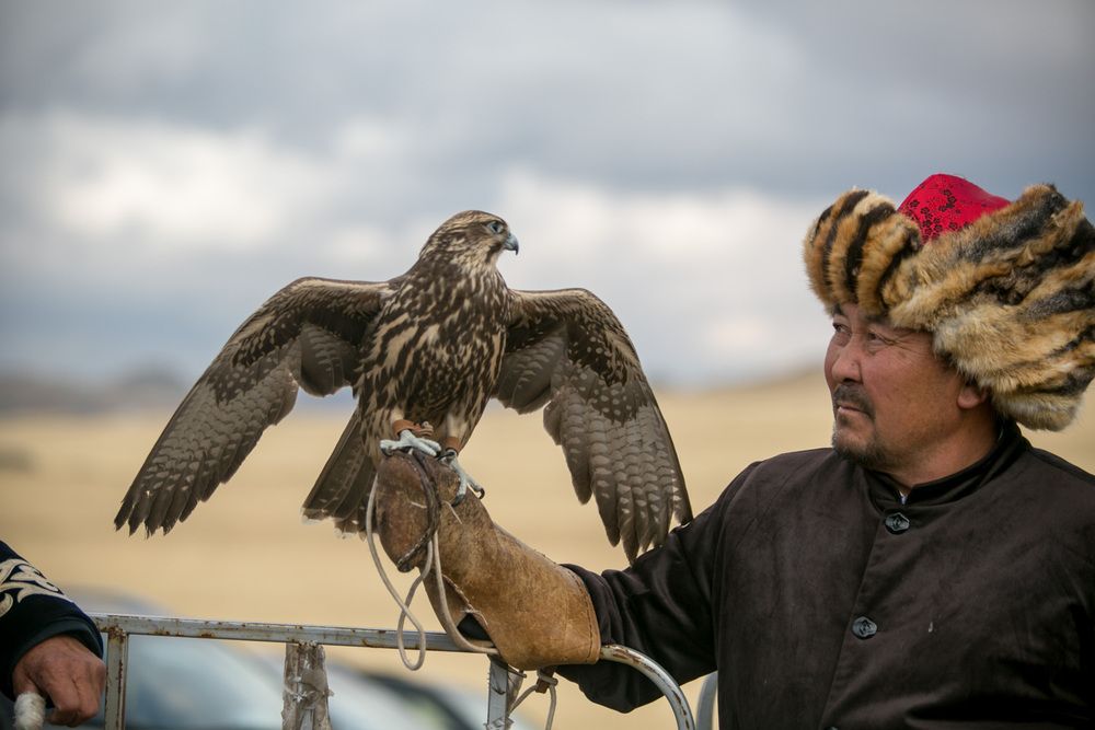Фотография автора Юрий Литвинов