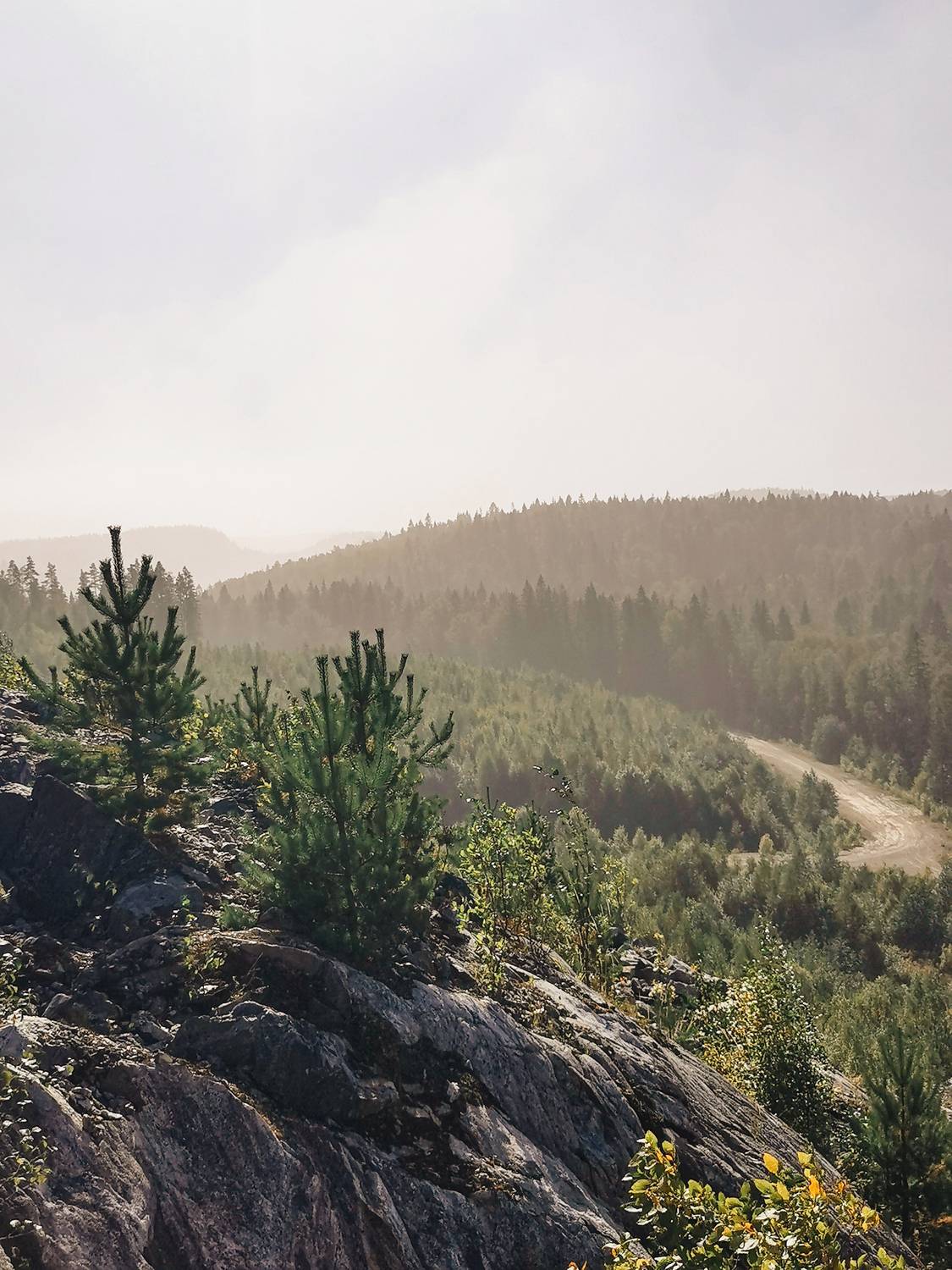 Photo #13328592