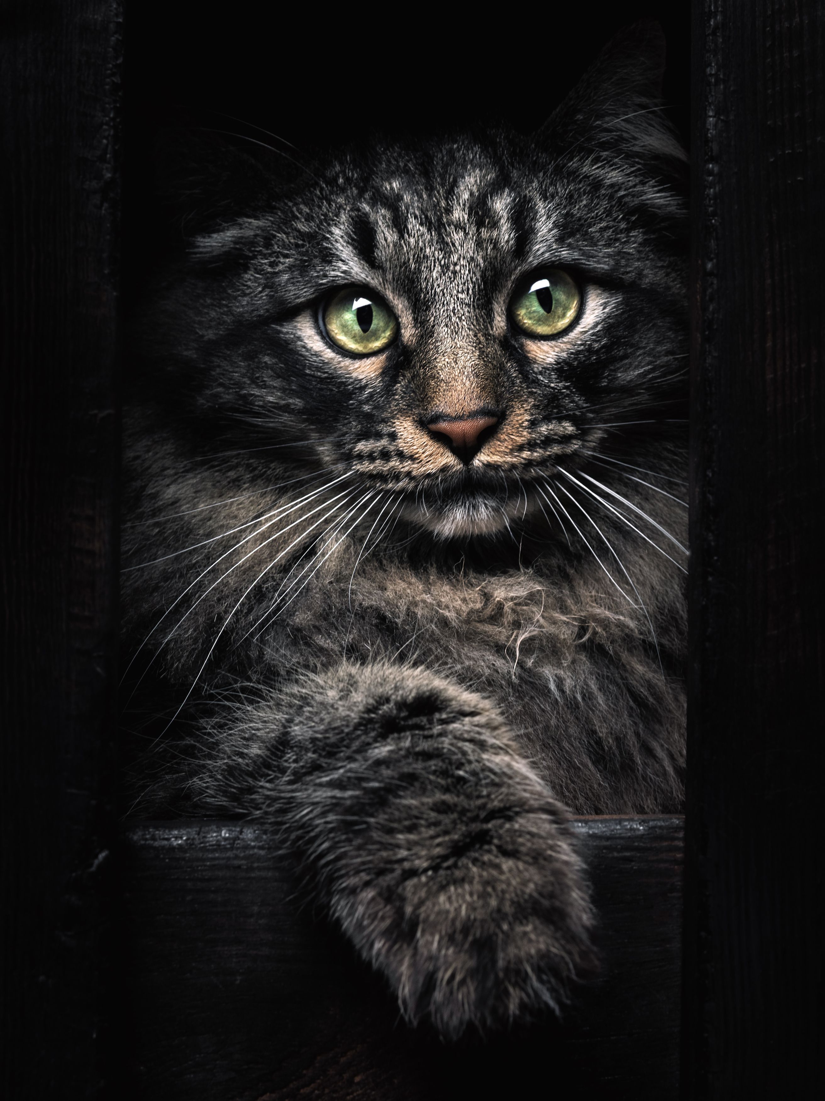 Photograph by Evgeniy Savikov