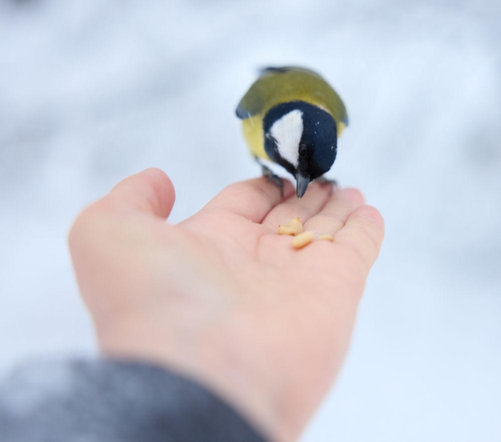 Фотография автора Natalia Kuzmina