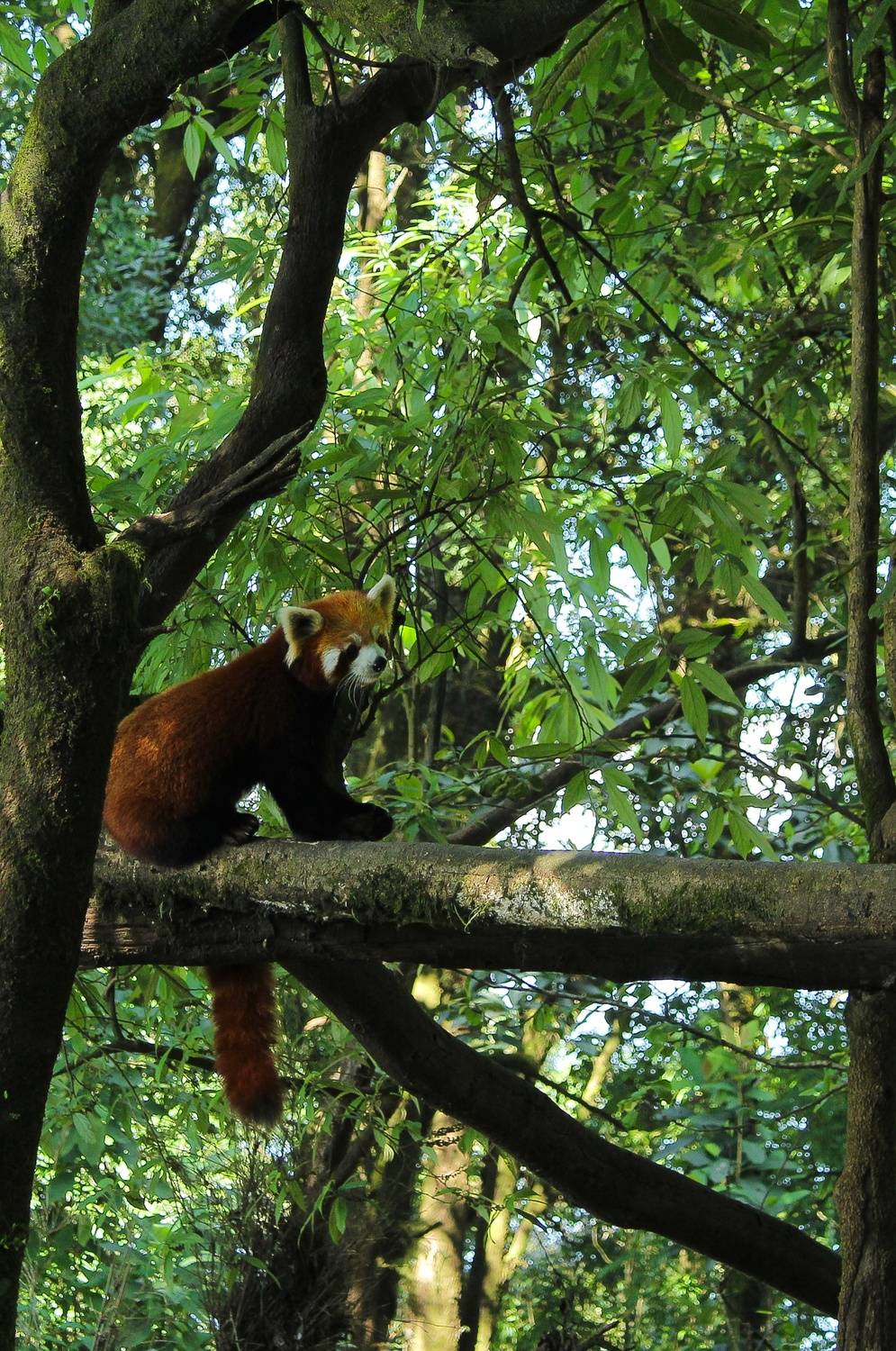 Its Time to Take Rest