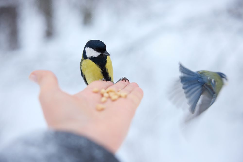 Фотография автора Natalia Kuzmina