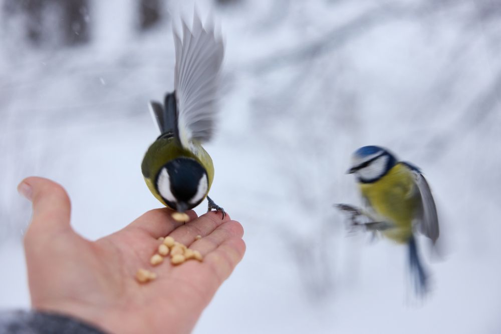 Фотография автора Natalia Kuzmina