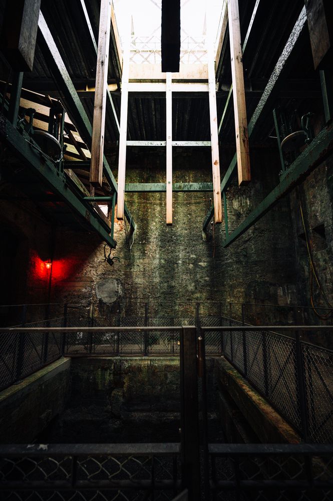 Photo #13328757