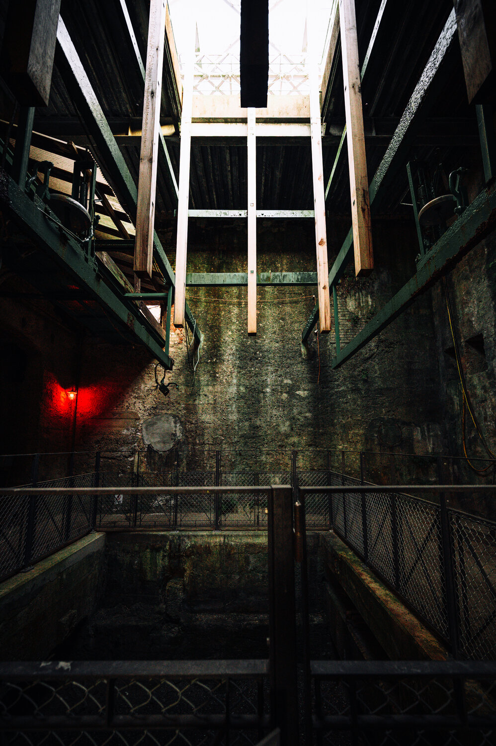 Photo #13328757