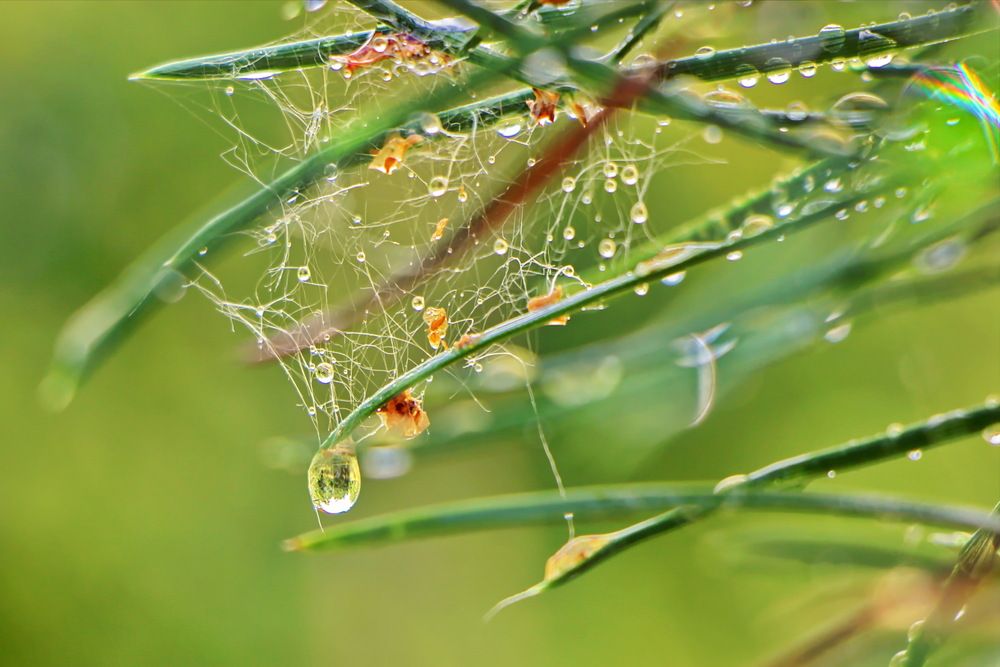 Photograph by Анатолий Борисов