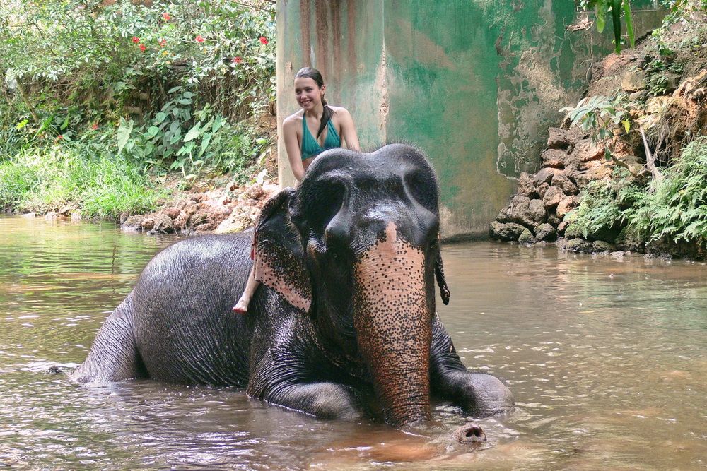 Фотография автора Анатолий Дауров