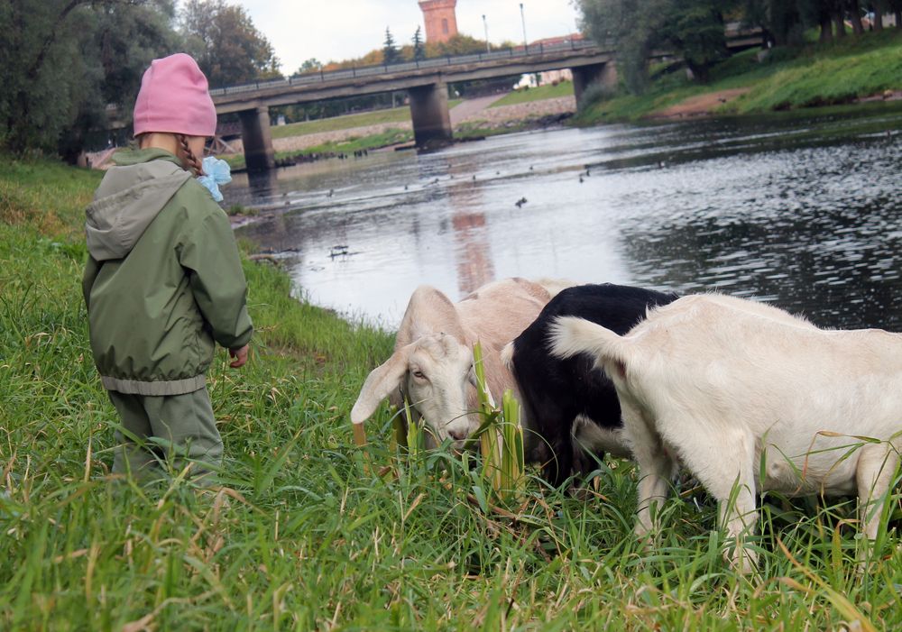 Photograph by Кирилл Елесин