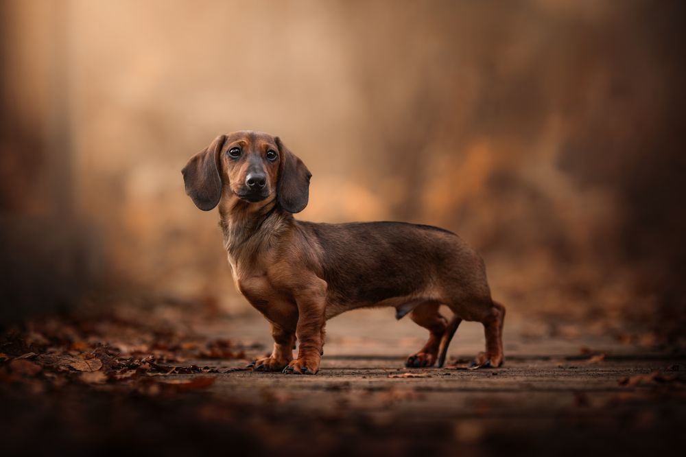 Photograph by Jessy Loos
