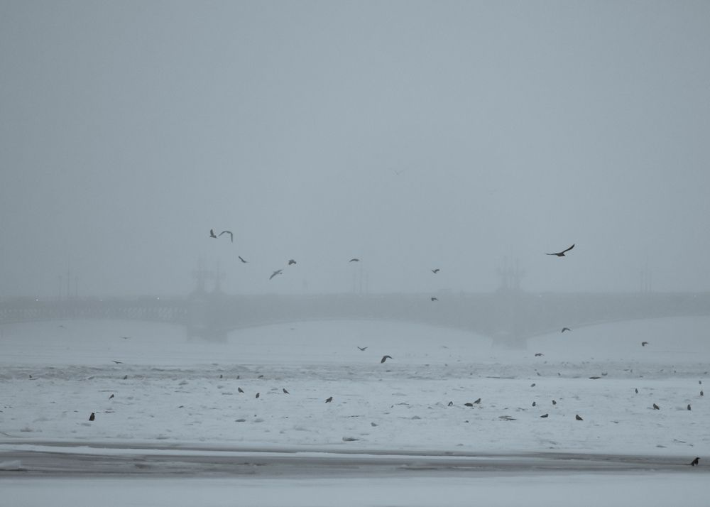 Photograph by Анастасия Алтабаева