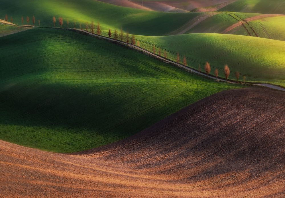 Photograph by Karádi Zita
