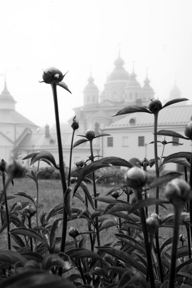 Photograph by Ольга Аристова