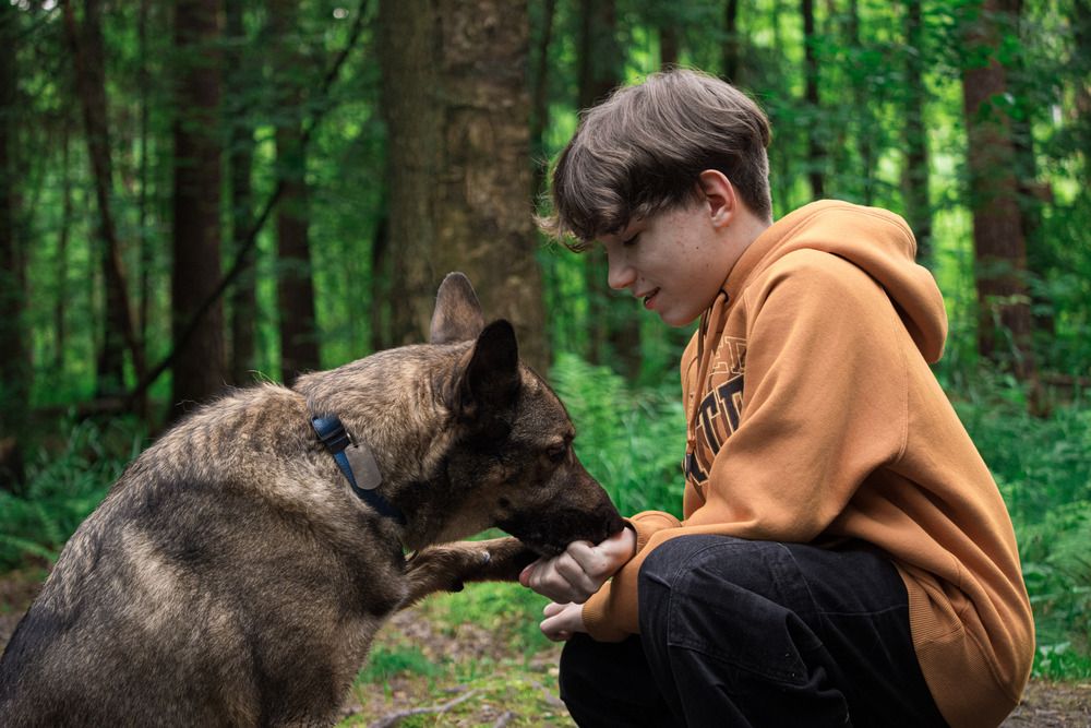 Photograph by Людмила Сарыцина