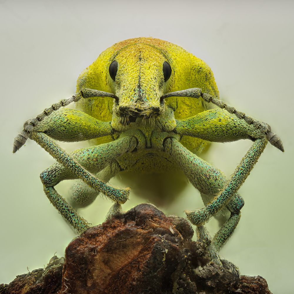 Photograph by Юрий Юрьевич Подгрушный