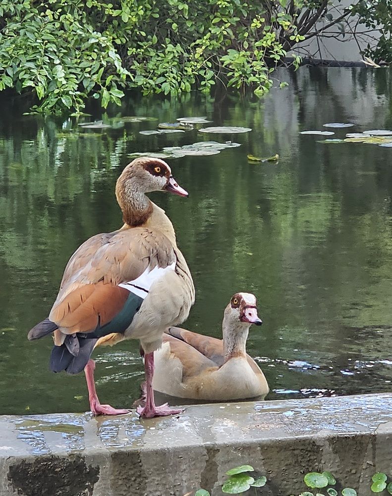 Photograph by Oksana Podgorodetska