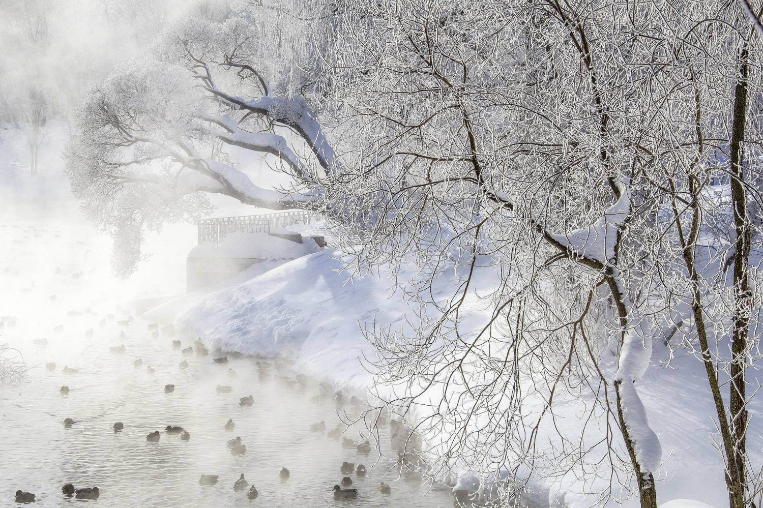 Морозный денек Морозный денек