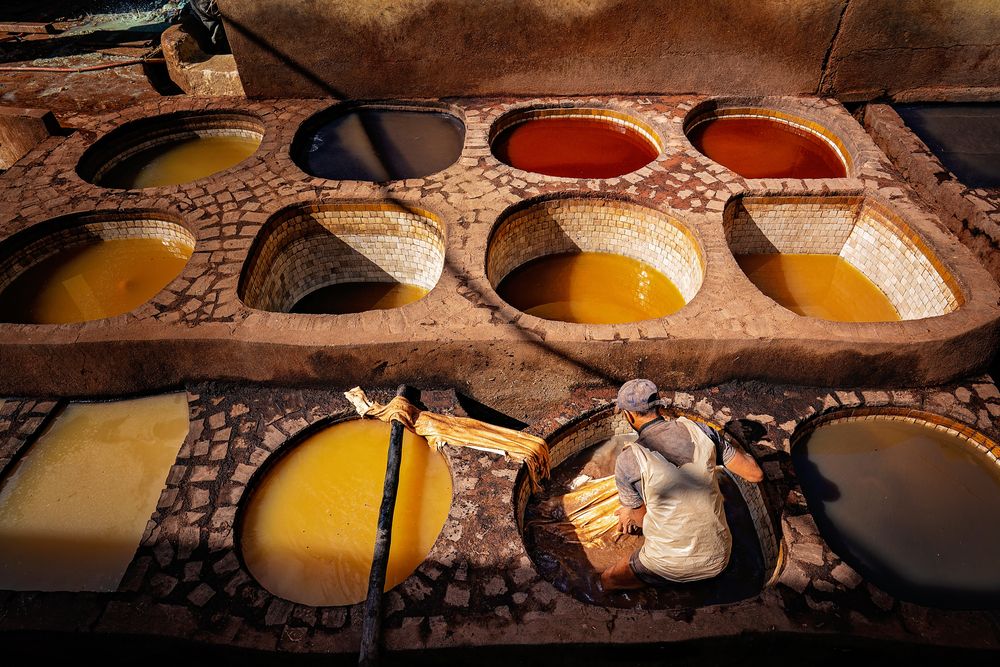 Photograph by Bogdan Negoita