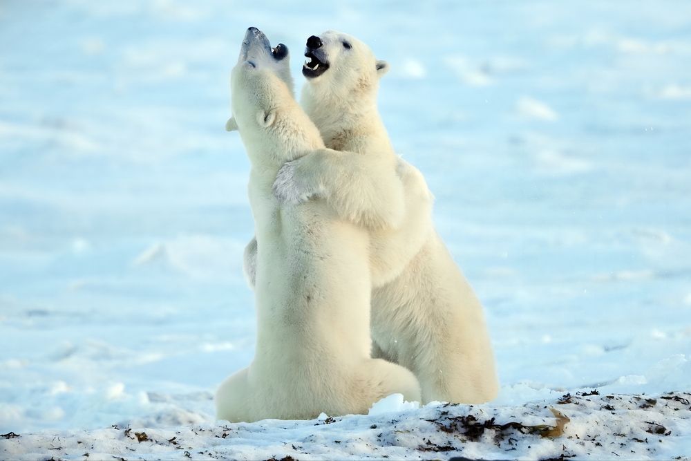 Photograph by Александр Перов