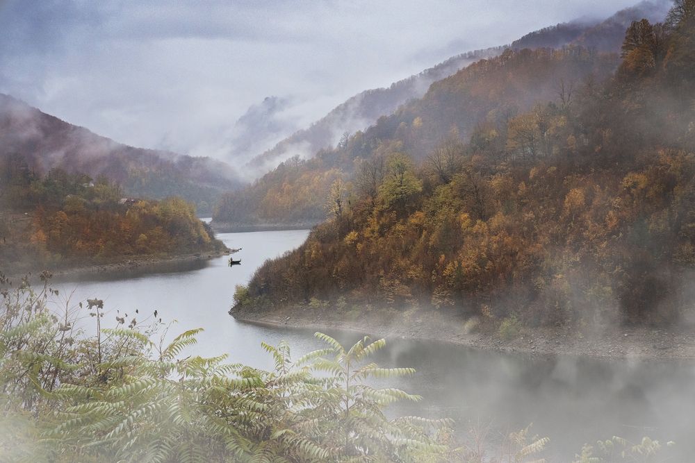 Фотография автора Bogdan Negoita