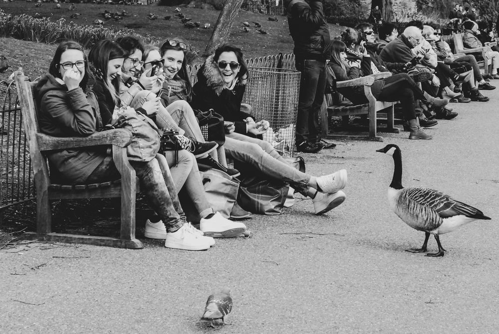 Photograph by Сергей