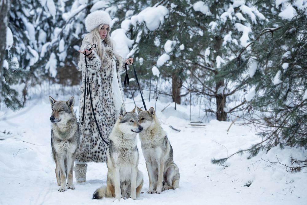 Леди с волками