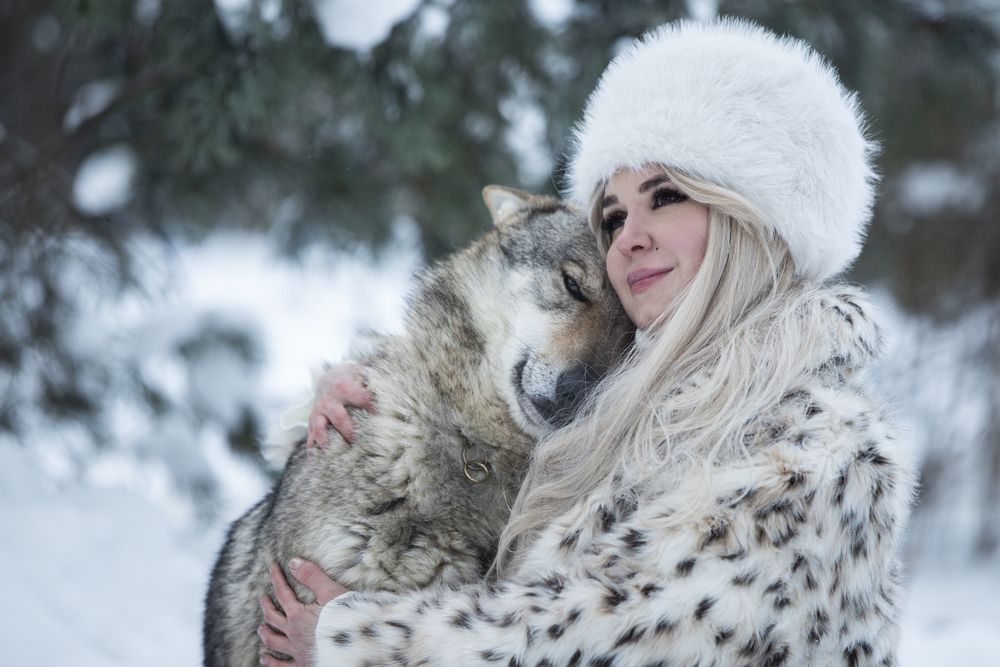 Волк тоже хочет ласки...