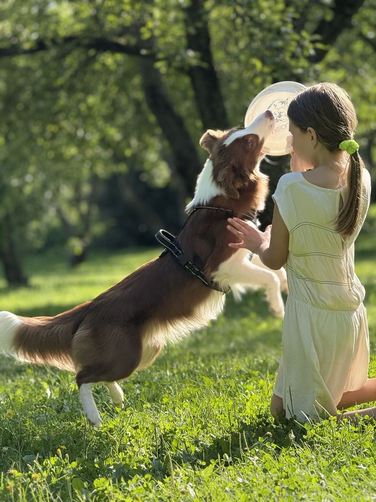 Photograph by Elena Perova