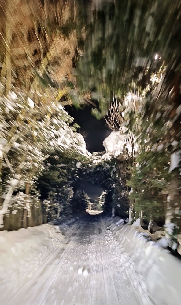 Photograph by Мария Мазикина