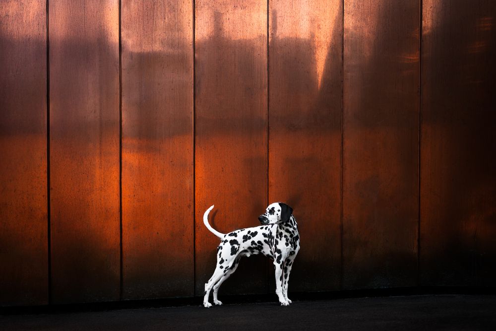 Photograph by karin bruhin