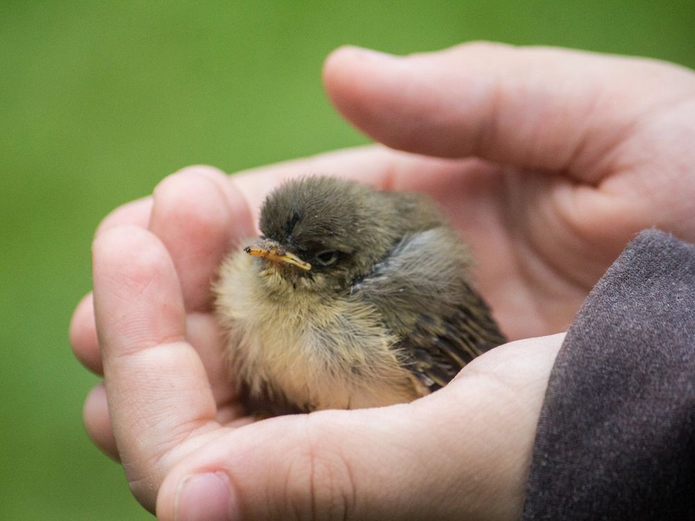 Photograph by Борис Журавлёв