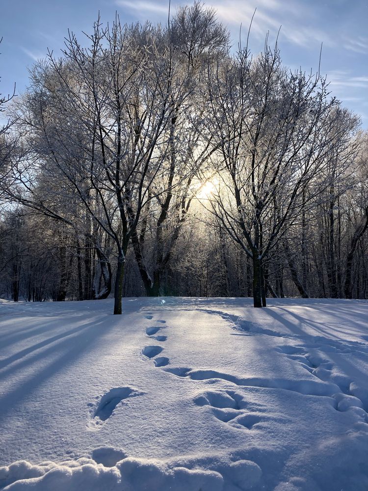 Photo #13329351