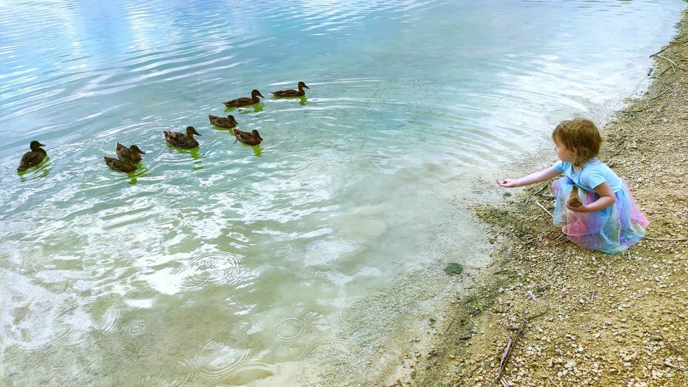 Photograph by Алла Холодова