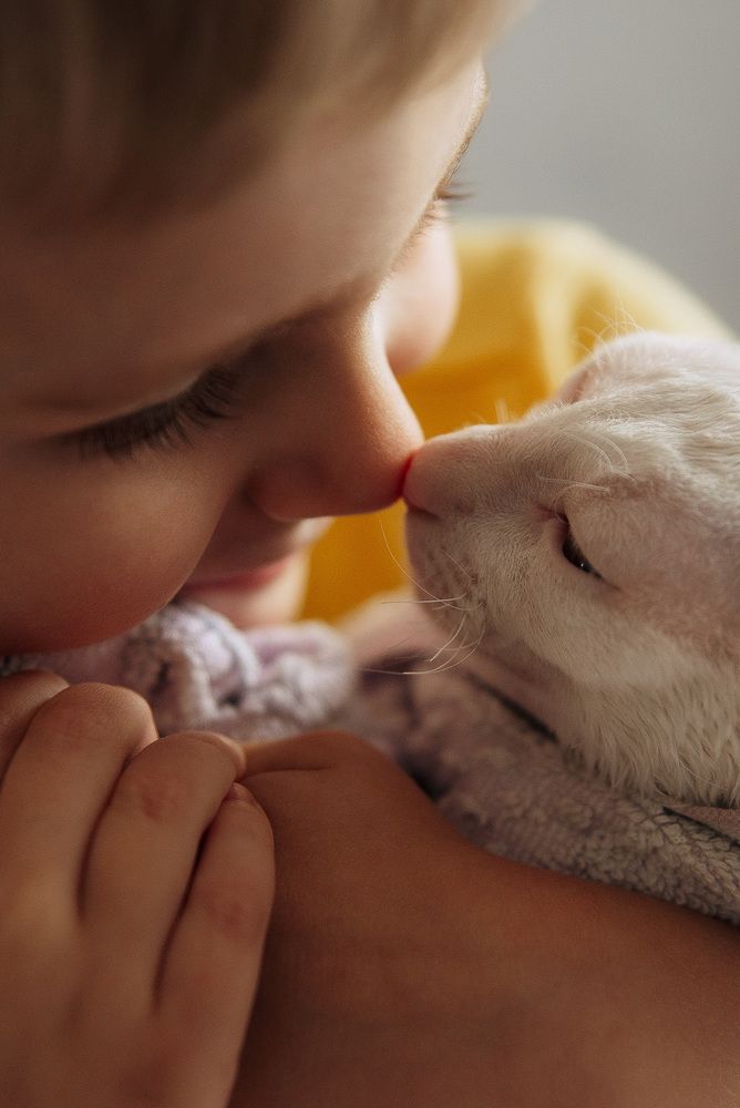 Photograph by Анна Бобкова