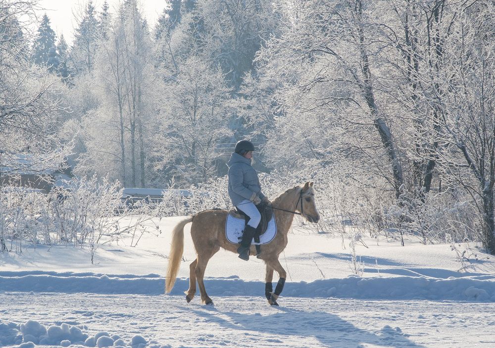 Фотография автора Наталья Липовская