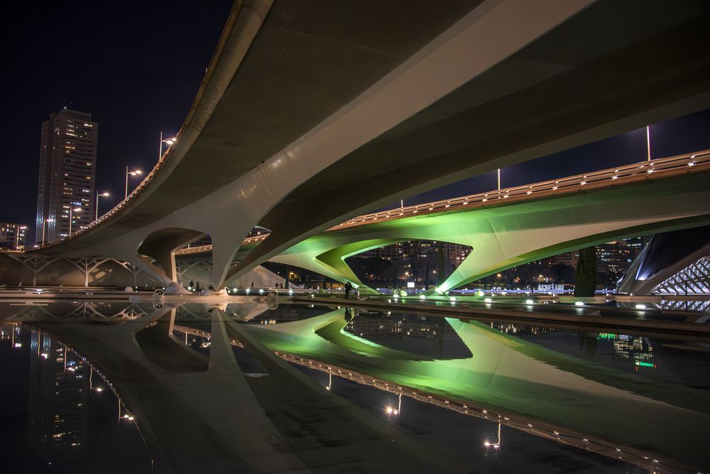 El puente y su reflejo en los lagos de la Ciudad de las Artes y las Ciencias