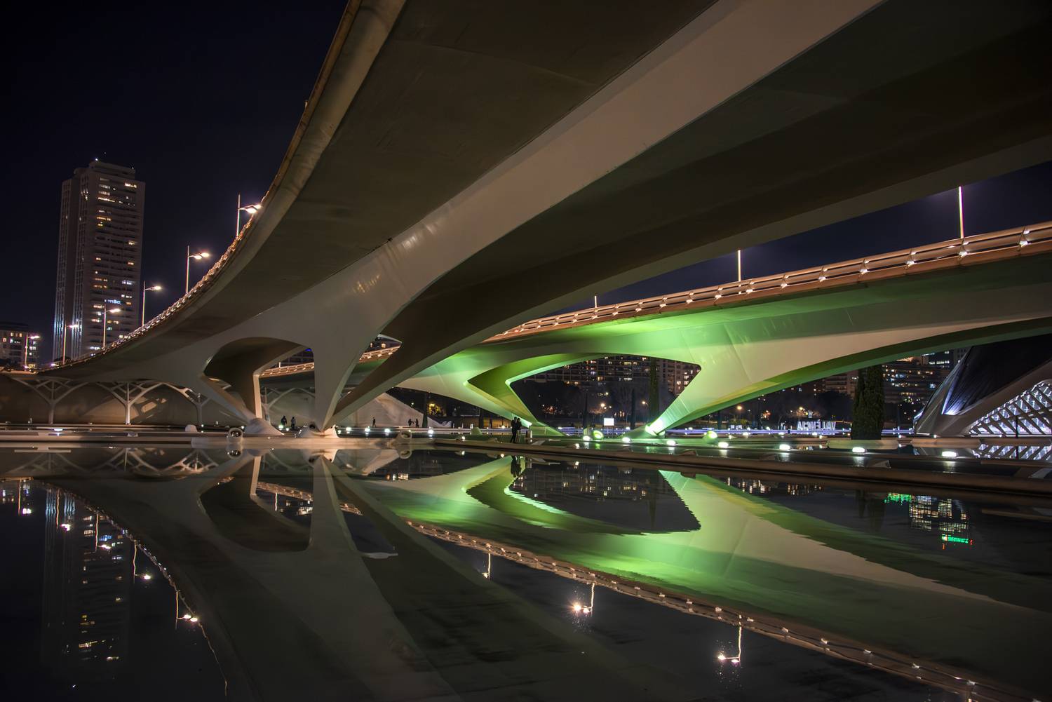El puente y su reflejo en los lagos de la Ciudad de las Artes y las Ciencias El puente y su reflejo en los lagos de la Ciudad de las Artes y las Ciencias