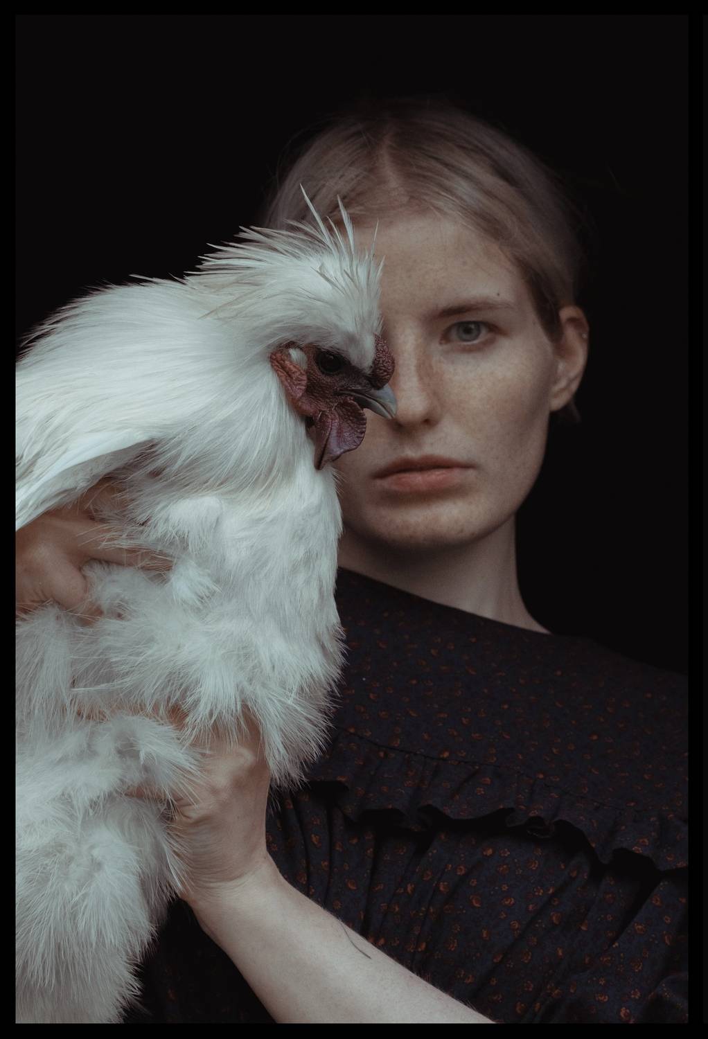 Дама с курой