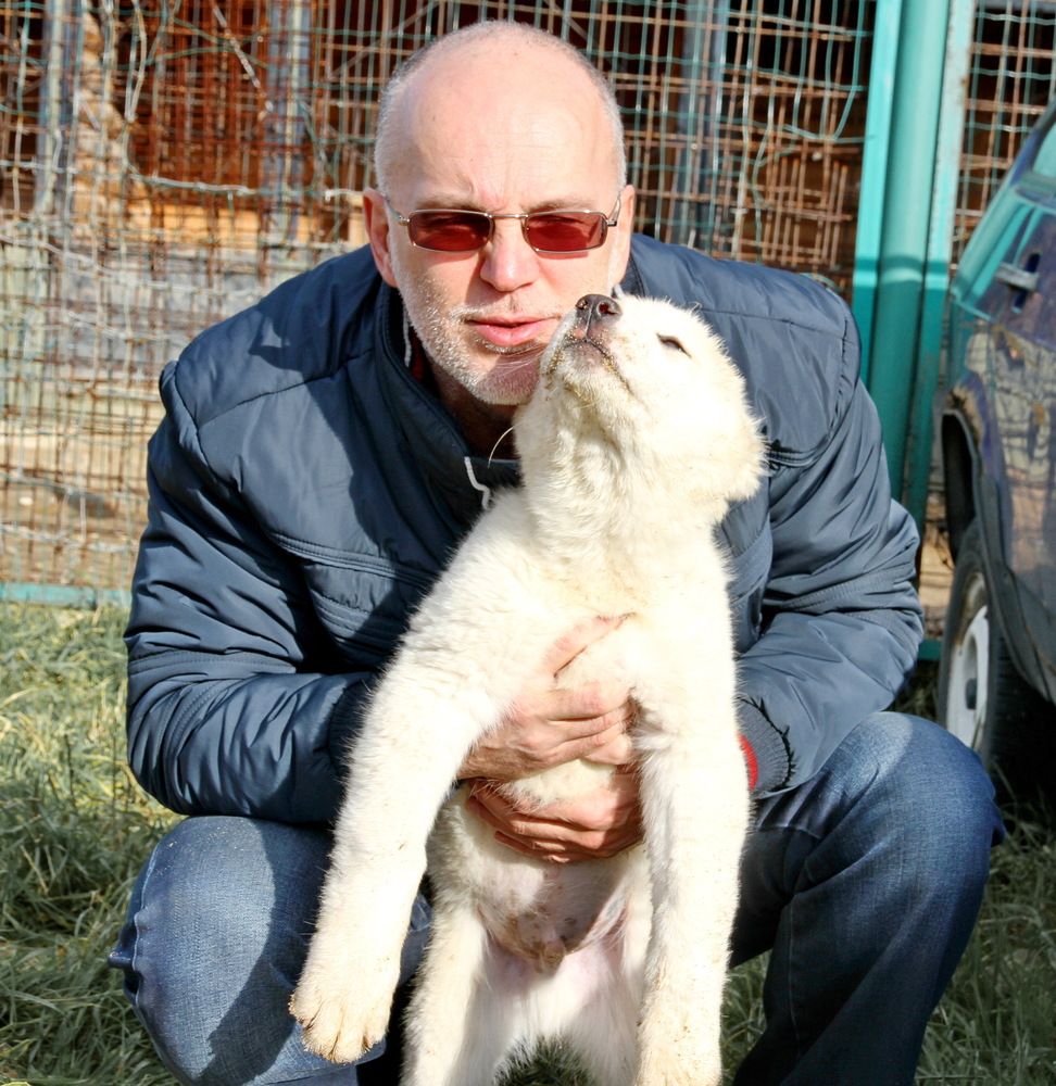 Photograph by Михаил Свиденцов