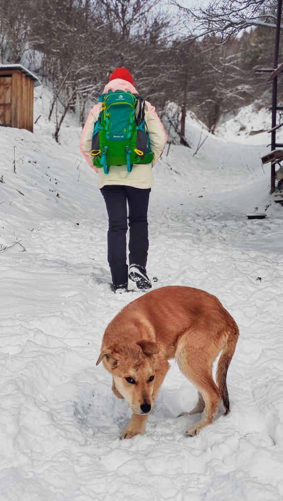 Фотография автора Марина Борисова