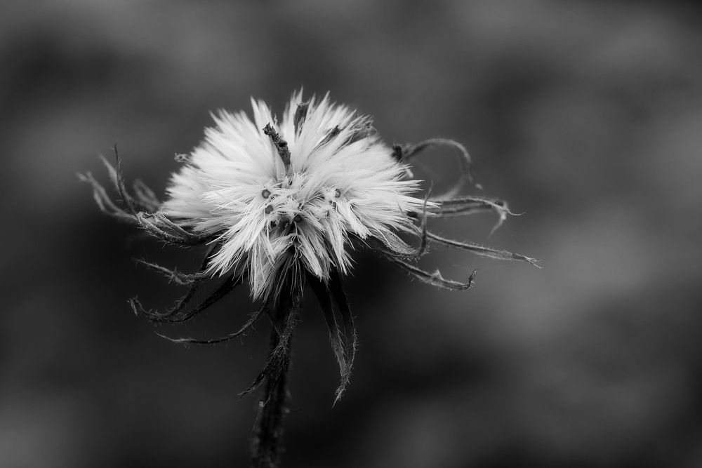 Photograph by Владимир Лобанов