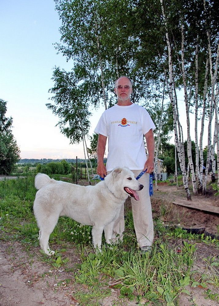 Photograph by Михаил Свиденцов