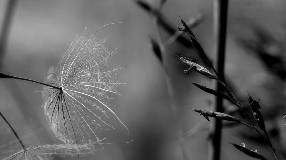 Photograph by Владимир Лобанов