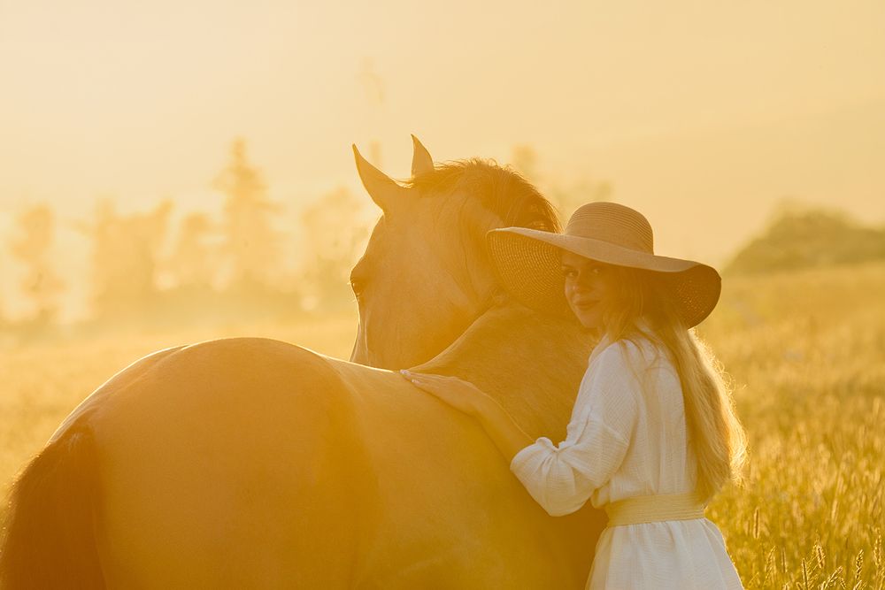Лучи солнца