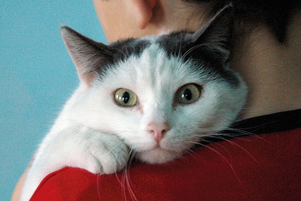 Photograph by Юрий Тимофеев