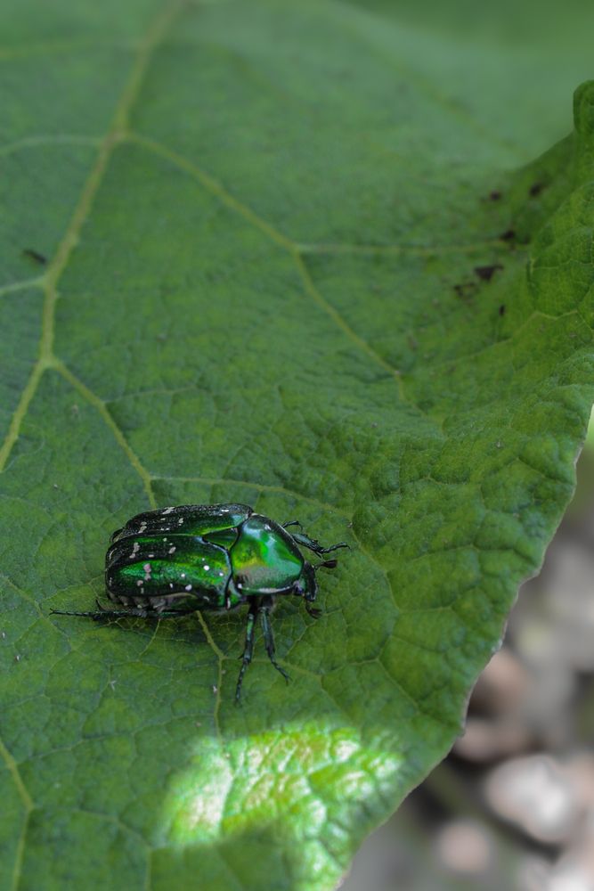 Фотография автора Марина Борисова