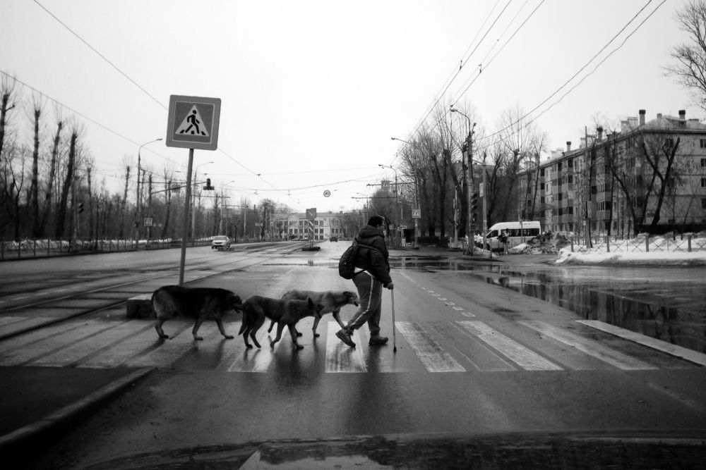 Photograph by Серпов Алексей