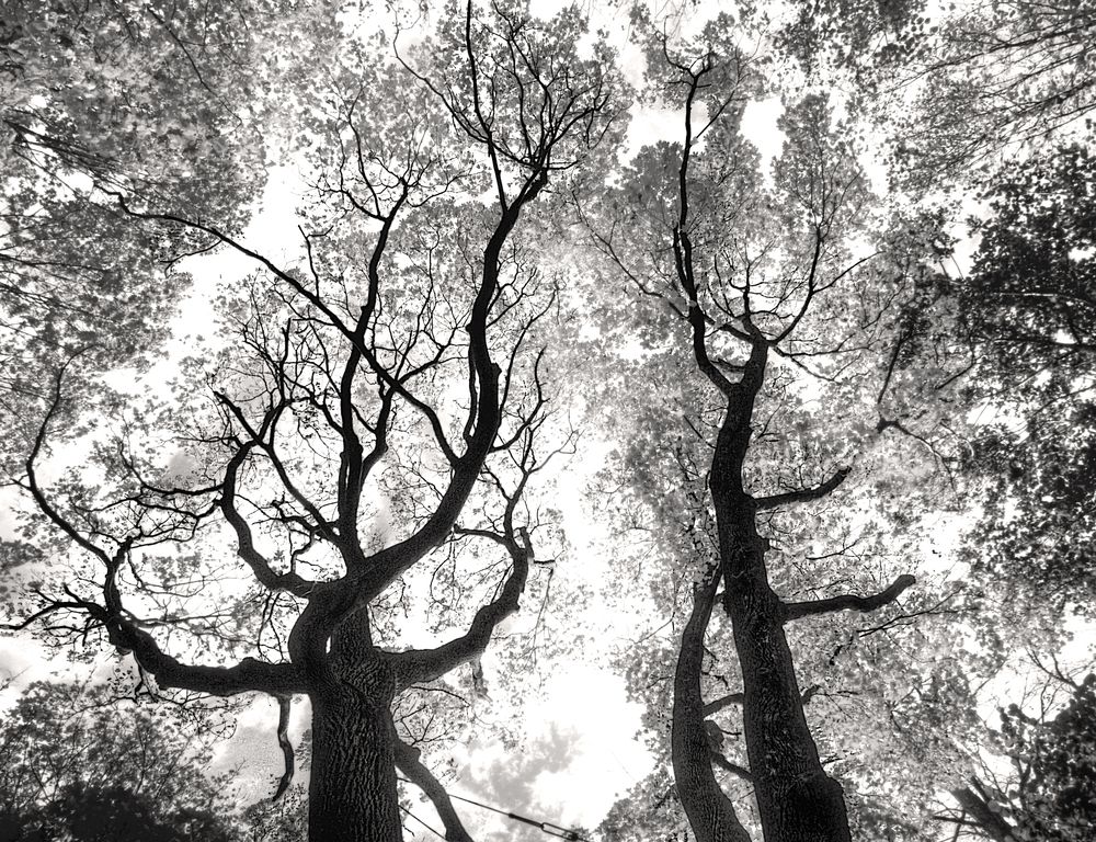 Photograph by Сергей Григорьев