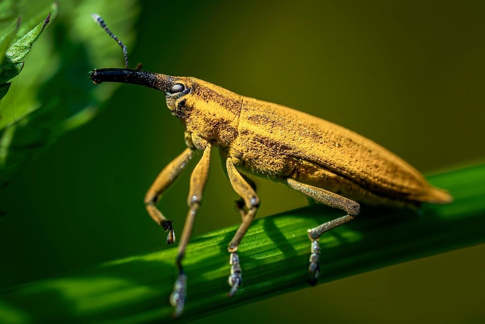 Фотография автора Ivanova Helena
