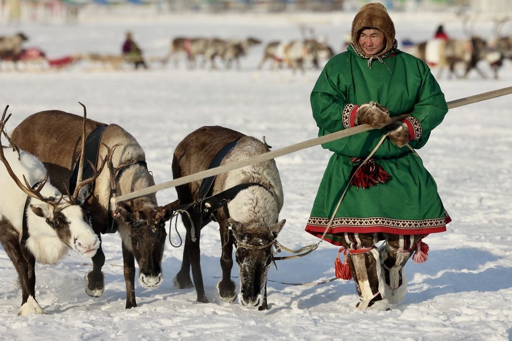 Фотография автора Леонид Голубков
