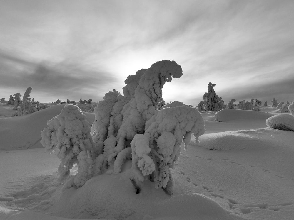 Photograph by OLGA MIKHNEVICH